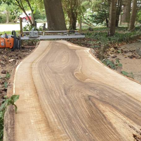 Freshly milled wood